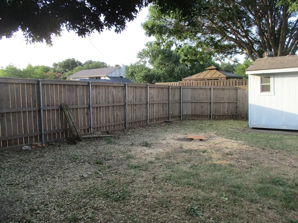 Cleared yard after professional tree removal in Derby